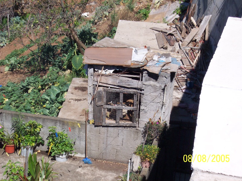s-100_3466.jpg