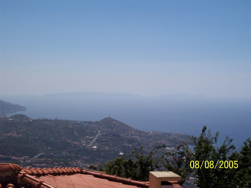 s-100_3479.jpg