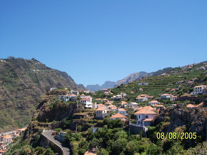s-100_3497.jpg