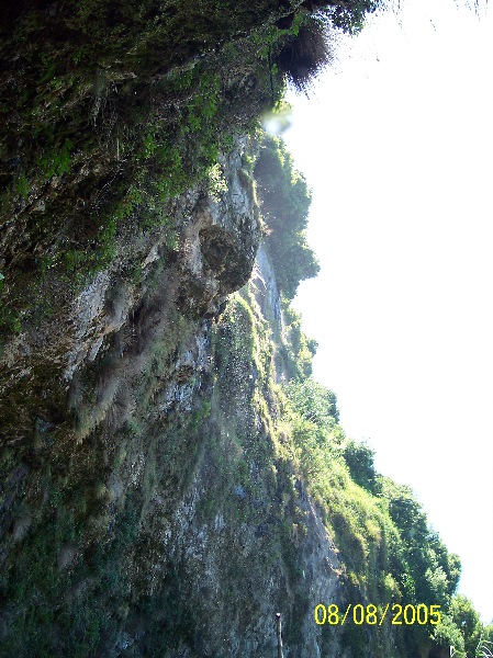 s-100_3506.jpg