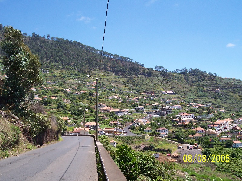 s-100_3564.jpg