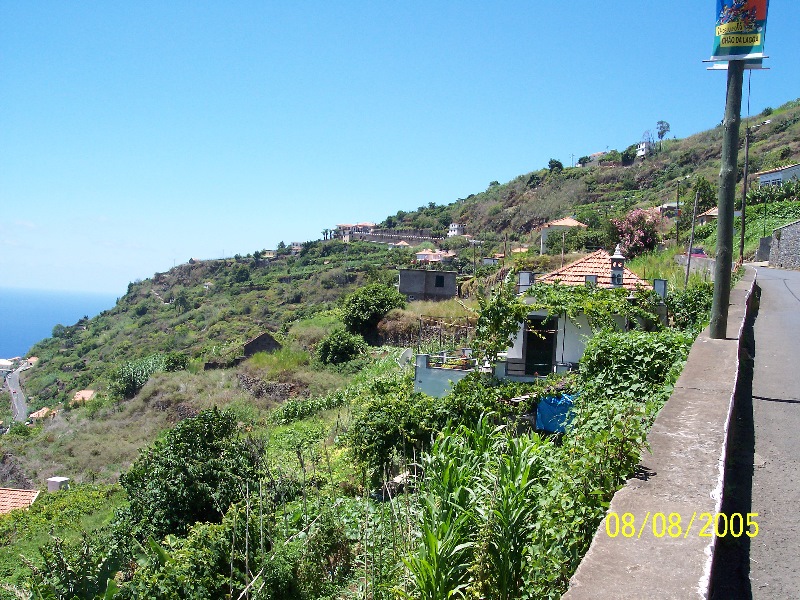 s-100_3569.jpg