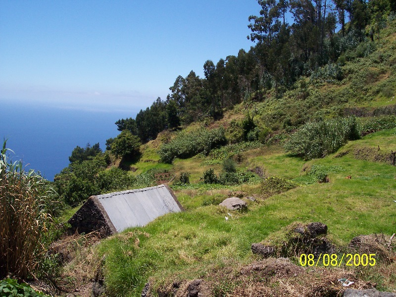 s-100_3579.jpg