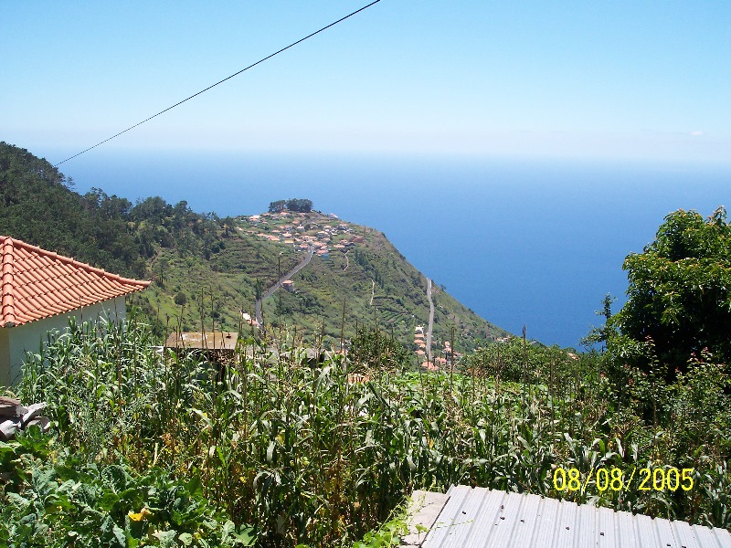 s-100_3580.jpg