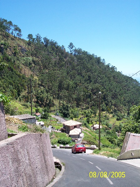 s-100_3582.jpg