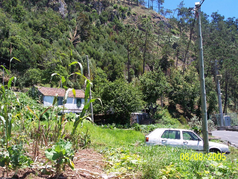 s-100_3585.jpg
