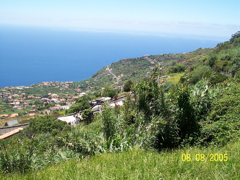s-100_3588.jpg