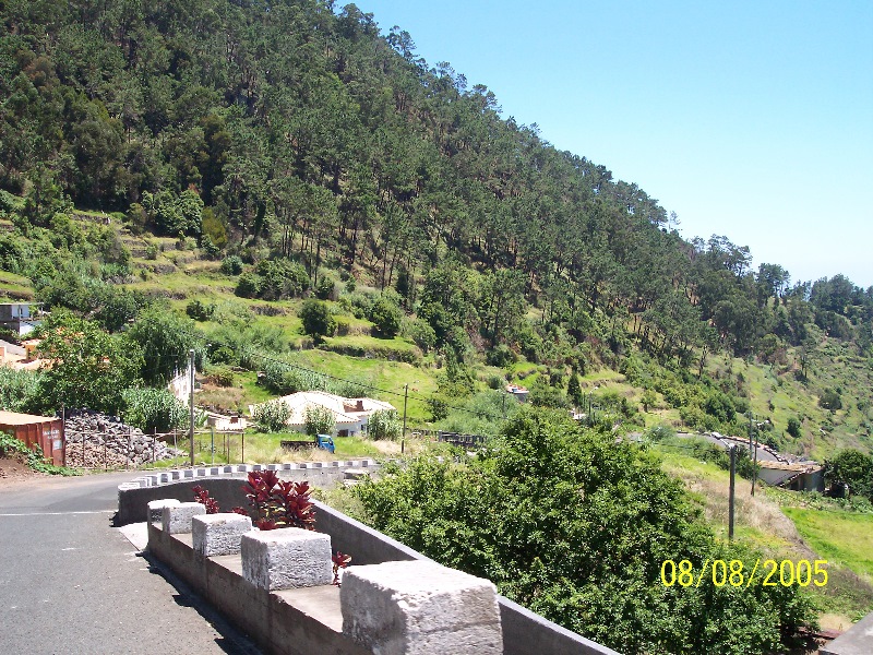 s-100_3590.jpg