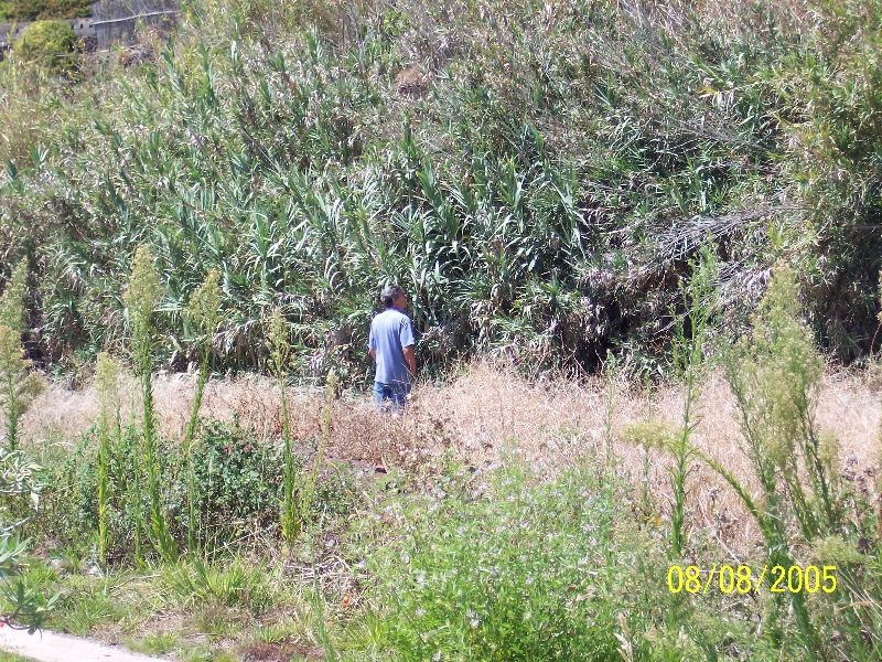 s-100_3595.jpg