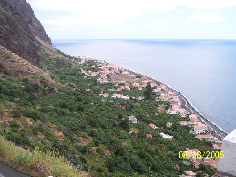 s-100_3596.jpg