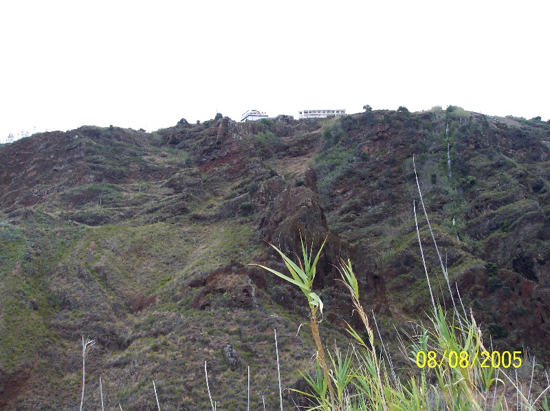 s-100_3598.jpg