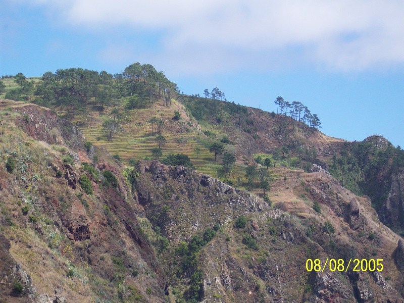 s-100_3605.jpg