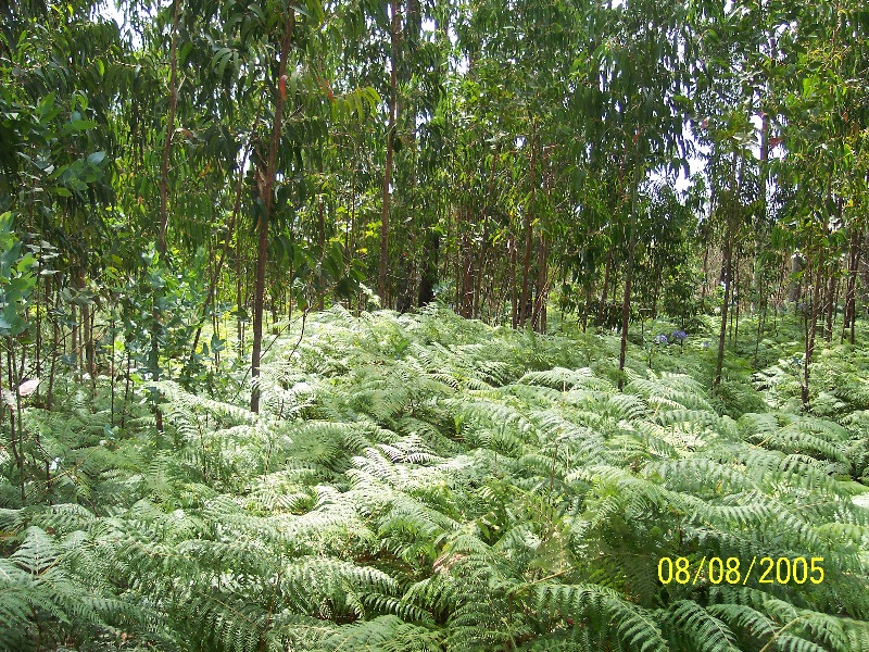s-100_3612.jpg