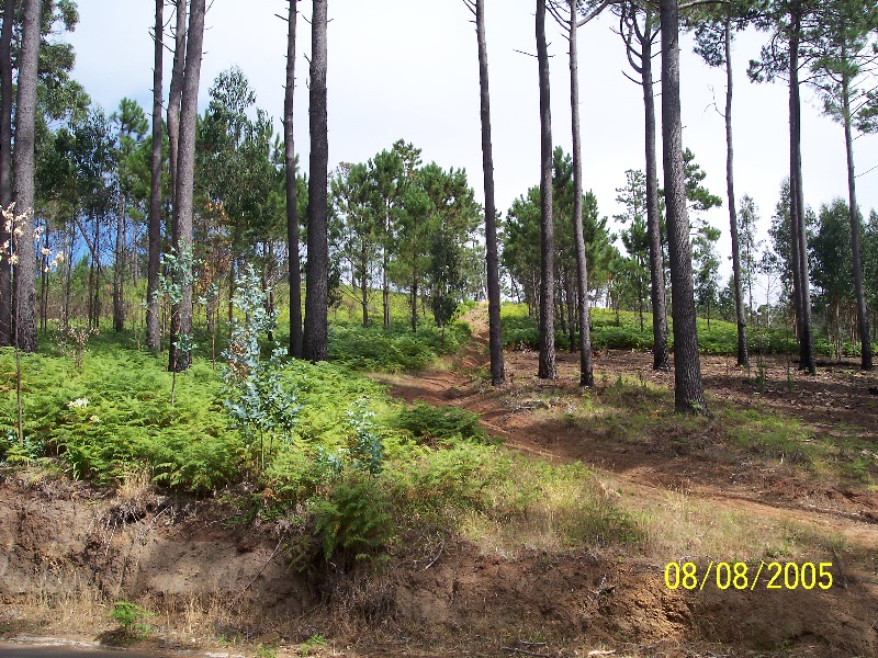 s-100_3613.jpg