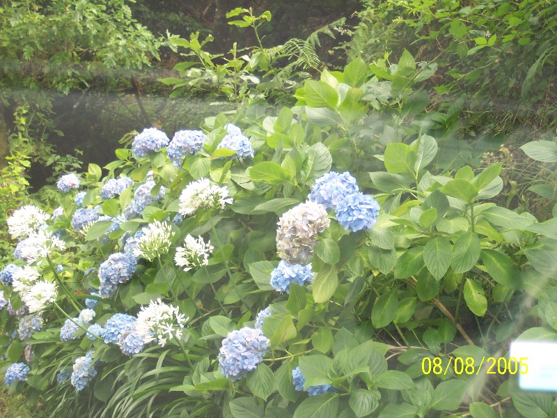 s-100_3618.jpg