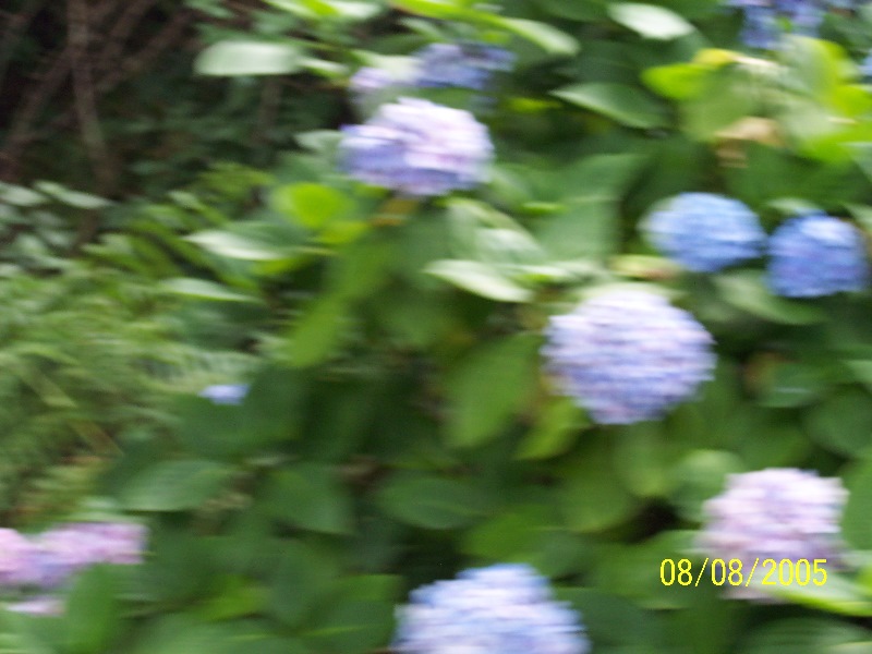 s-100_3620.jpg
