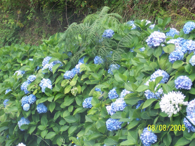 s-100_3621.jpg