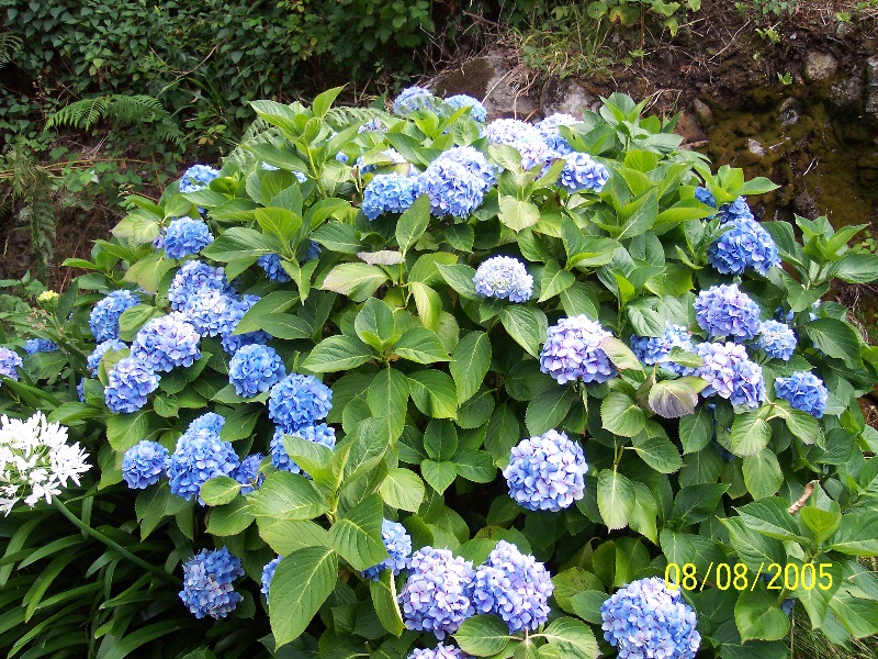 s-100_3622.jpg