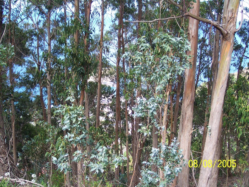 s-100_3624.jpg
