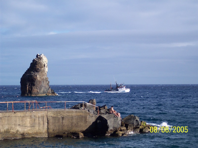 s-100_3681.jpg