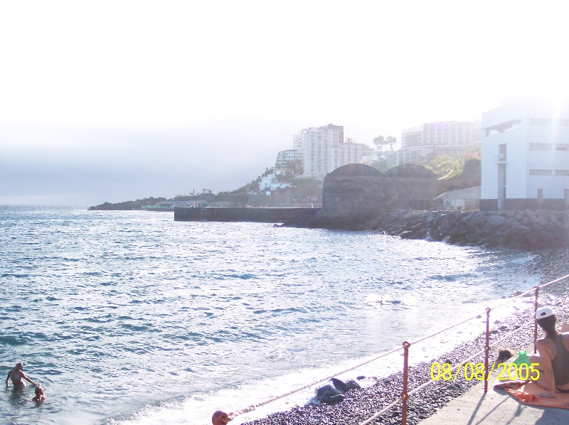 s-100_3682.jpg