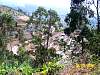 s100_3481.jpg