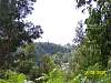 s100_3615.jpg