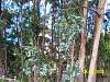 s100_3624.jpg