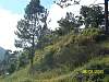 s100_3658.jpg