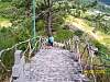 s100_3661.jpg
